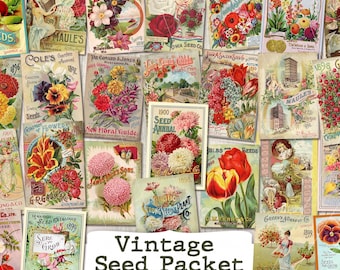 Vintage Seeds ephemera digital download floral papers junk journal kit printable seed packets books