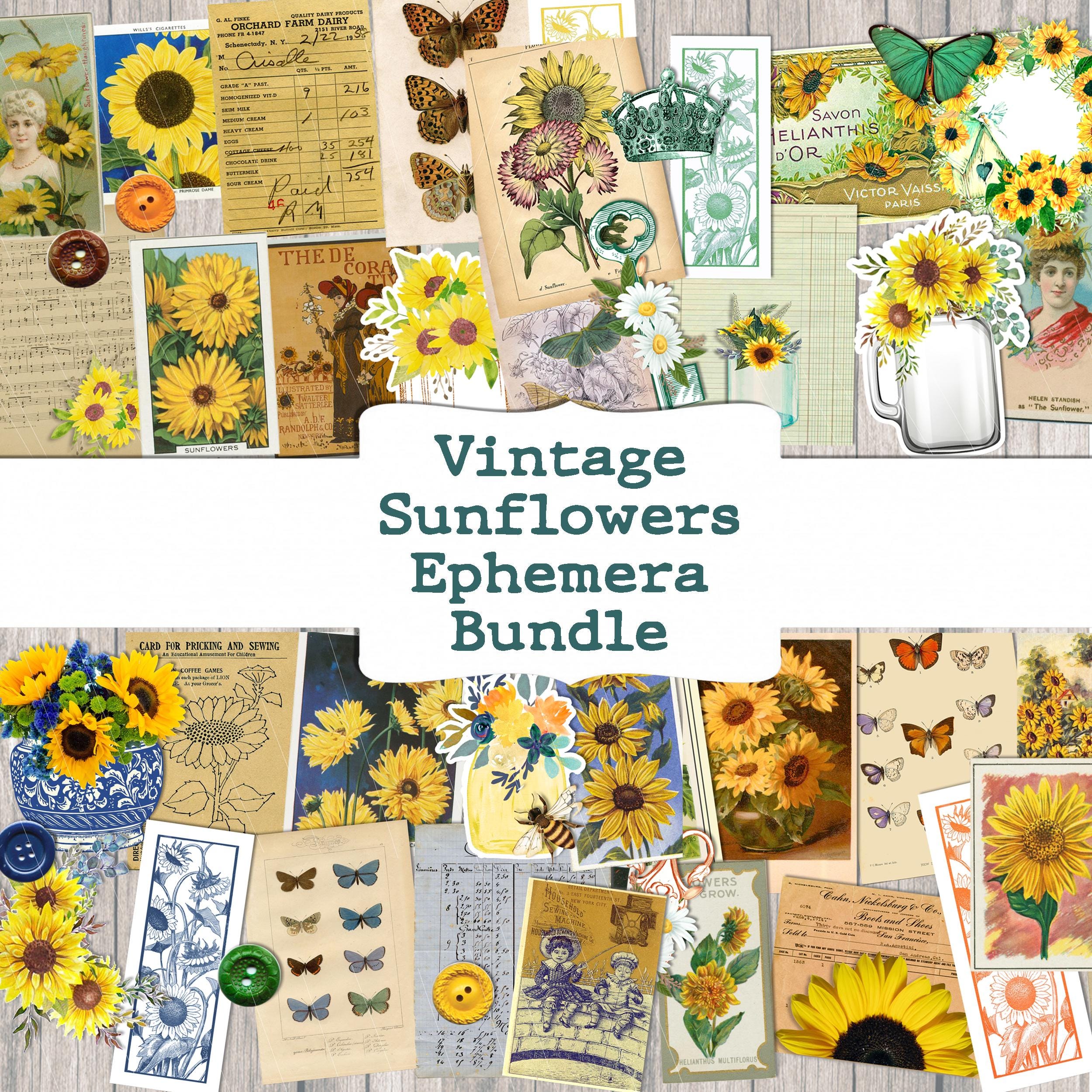 Sunflower Autumn Ephemera Printable Vintage Sunflowers Floral Junk ...