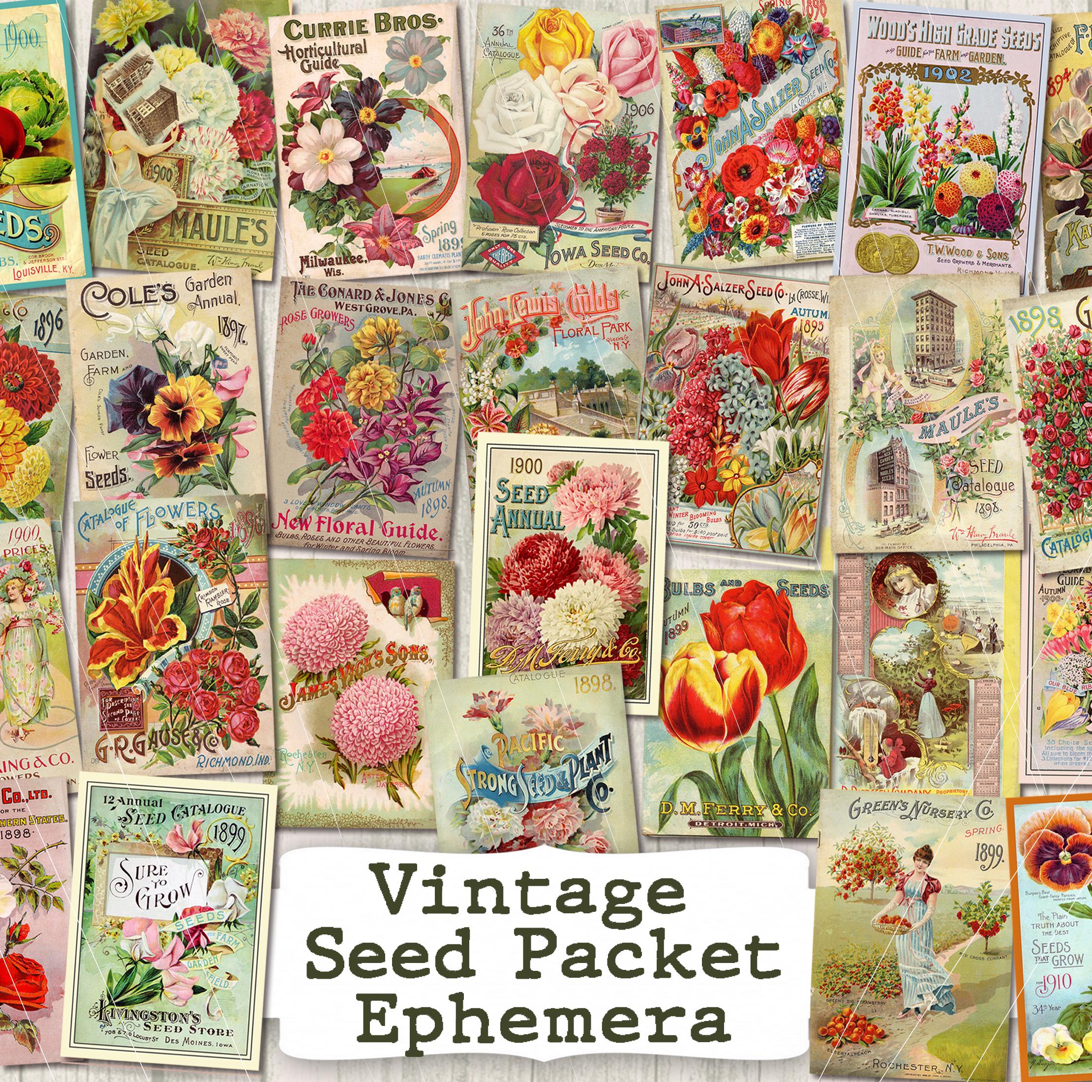 Vintage Floral Ephemera Printable —Seeds Junk Journal Kit digital download — Shabby Chic Seed packets Papers — flower packet collage pages