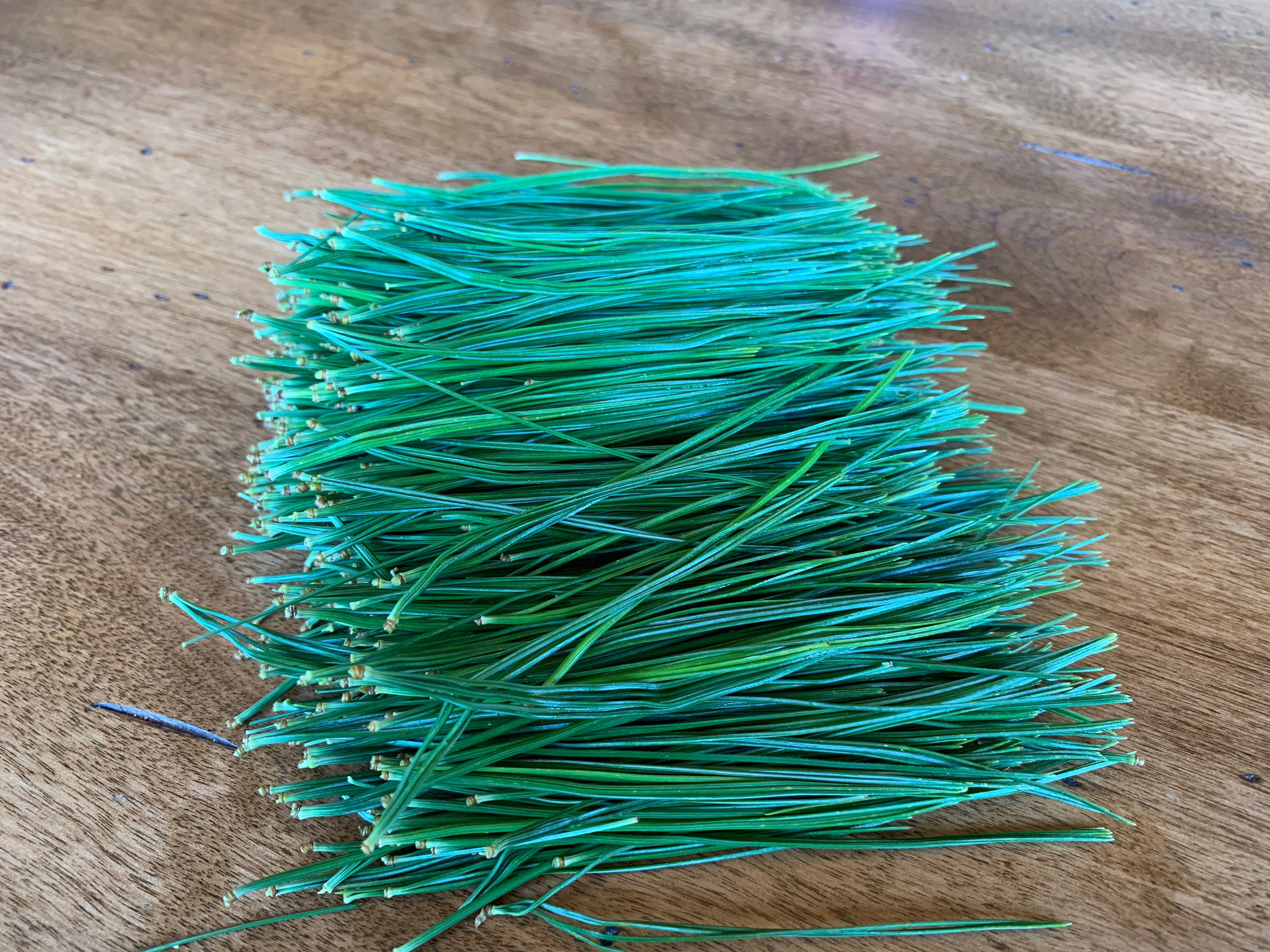 Fresh Organic Pine Needles Tea BULK Eastern White Pine Etsy