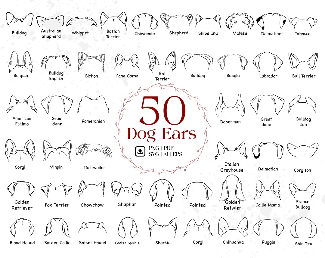 50 Dog Ear SVG, Dog Ear Drawing Bundle, Tattoo Commission, Dog Ear ...