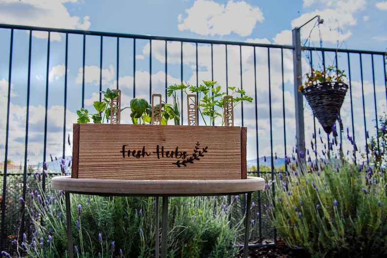 Herb Garden Markers - Eco-friendly Plant Labels for Your Kitchen Garden immagine 6