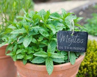 Mojitos in Training Funny Plant Marker For Your Mint Garden, Makes a Great Gift for Housewarming, Teacher, Mom