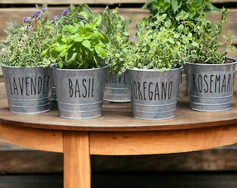 Farmhouse Herb Bucket Planter