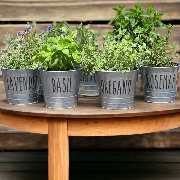 Farmhouse Herb Bucket Planter