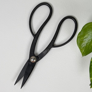 May include: A pair of matte black metal scissors featuring large, symmetrical oval finger loops and a central silver-toned circular pivot screw. The blades are pointed and straight, designed for cutting tasks with a sleek, uniform finish.