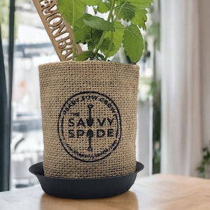 Pu&ograve; includere: Una pianta di melissa in vaso in un sacco di juta con un sottovaso in plastica nera. Il sacco di juta ha un logo in bianco e nero che dice "Plant Your Garden Savvy Spade".