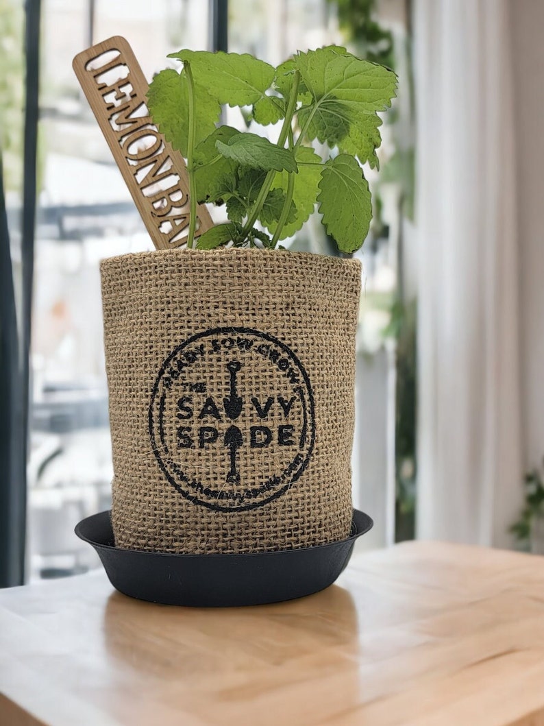 Pu&ograve; includere: Una pianta di melissa in vaso in un sacco di juta con un sottovaso in plastica nera. Il sacco di juta ha un logo in bianco e nero che dice "Plant Your Garden Savvy Spade".