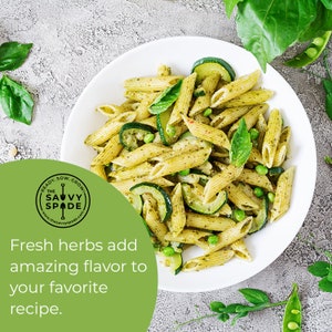 Pu&ograve; includere: Una ciotola bianca piena di pasta penne mescolata con una salsa pesto verde con zucchine e piselli. La pasta &egrave; circondata da foglie di basilico fresco. Il testo "READY. SOW. GROW! THE SAVVY SPADE www.thesavvyspade.com" &egrave; su un cerchio verde nell'angolo in basso a sinistra dell'immagine. Il testo "Le erbe fresche aggiungono un sapore incredibile alla tua ricetta preferita." &egrave; su un rettangolo verde nell'angolo in basso a destra dell'image.