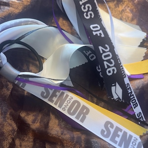 SENIOR Class of 2026 Custom Ribbon Band or Clip, Seniors Year Highschool College School Spirit, Choose Colors and Mix