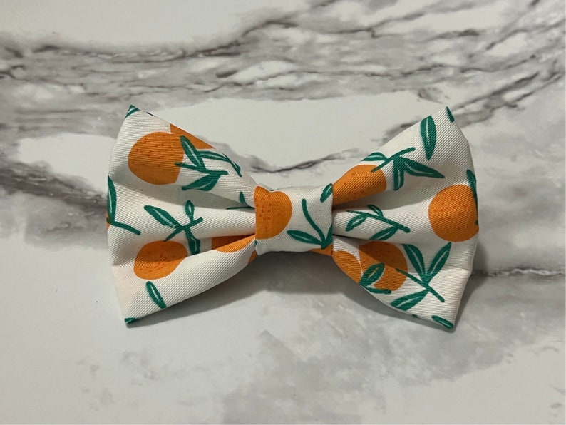 May include: A white bow tie with a pattern of orange citrus fruits and green leaves.