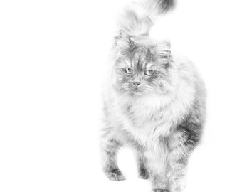 Printable Cat Art