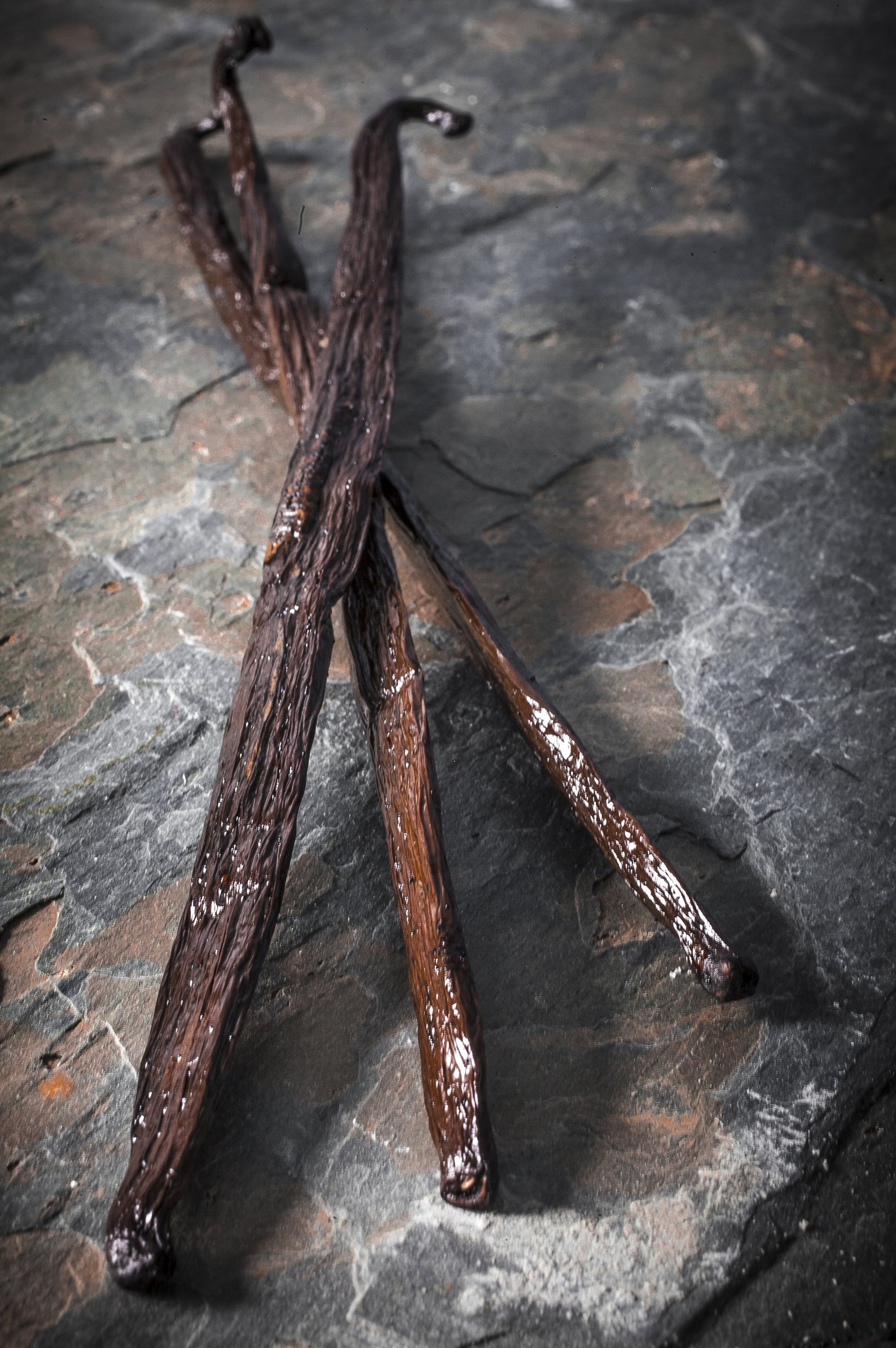 Mexican Vanilla Beans Etsy