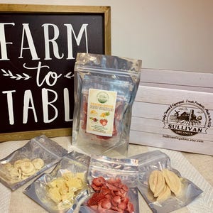 Freeze-Dried Fruit Samples