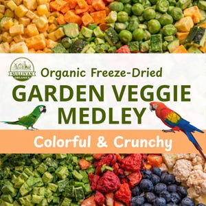 Organic Freeze-Dried Garden Veggie Medley | Colorful Whole Vegetables and Fruit | Bulk Option