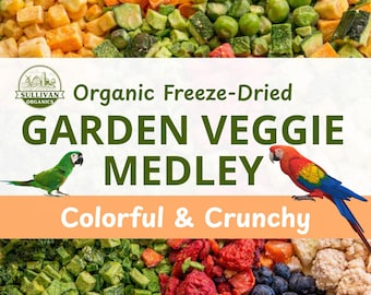 Organic Freeze-Dried Garden Veggie Medley | Colorful Whole Vegetables and Fruit | Bulk Option