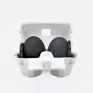 May include: Two black eggs in a white cardboard egg carton.