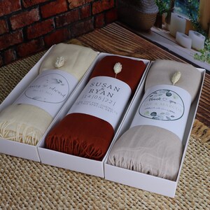 raymond pashmina shawl price