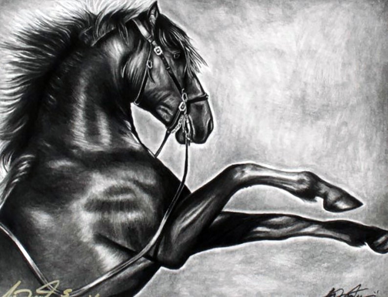 Order a 16x20 Commissioned Charcoal Drawing on Canvas by Anthony Douglas for Christmas Etsy