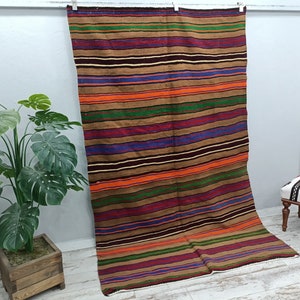 May include: A striped rug with brown, orange, green, purple, and blue stripes. The rug is hanging on a white wall with a plant in a wooden pot in the foreground.