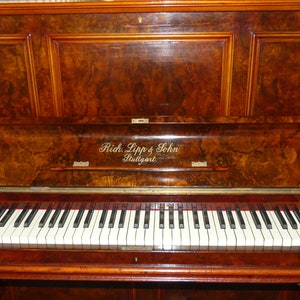 Astonishing Antique 1891 R. Lipp & Sohn Huge Grand Upright Concert Piano Restored French Polished Burr Walnut Original Keys image 1
