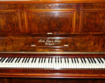 Incredibile antico 1891 R. Lipp & Sohn Enorme pianoforte a coda verticale da concerto restaurato tasti originali in radica di noce lucidata francese