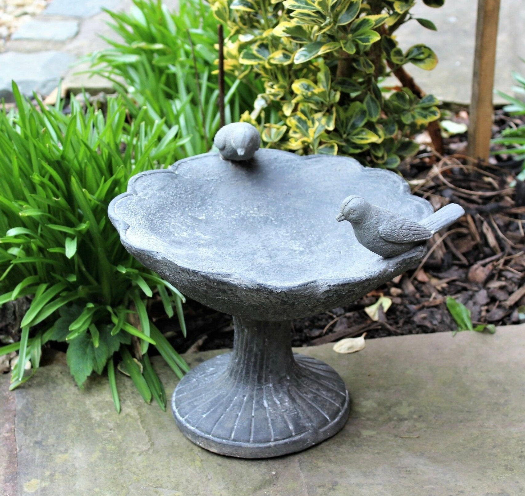 Bird Bath Bowl Outdoor Ornamental Traditional Garden Etsy