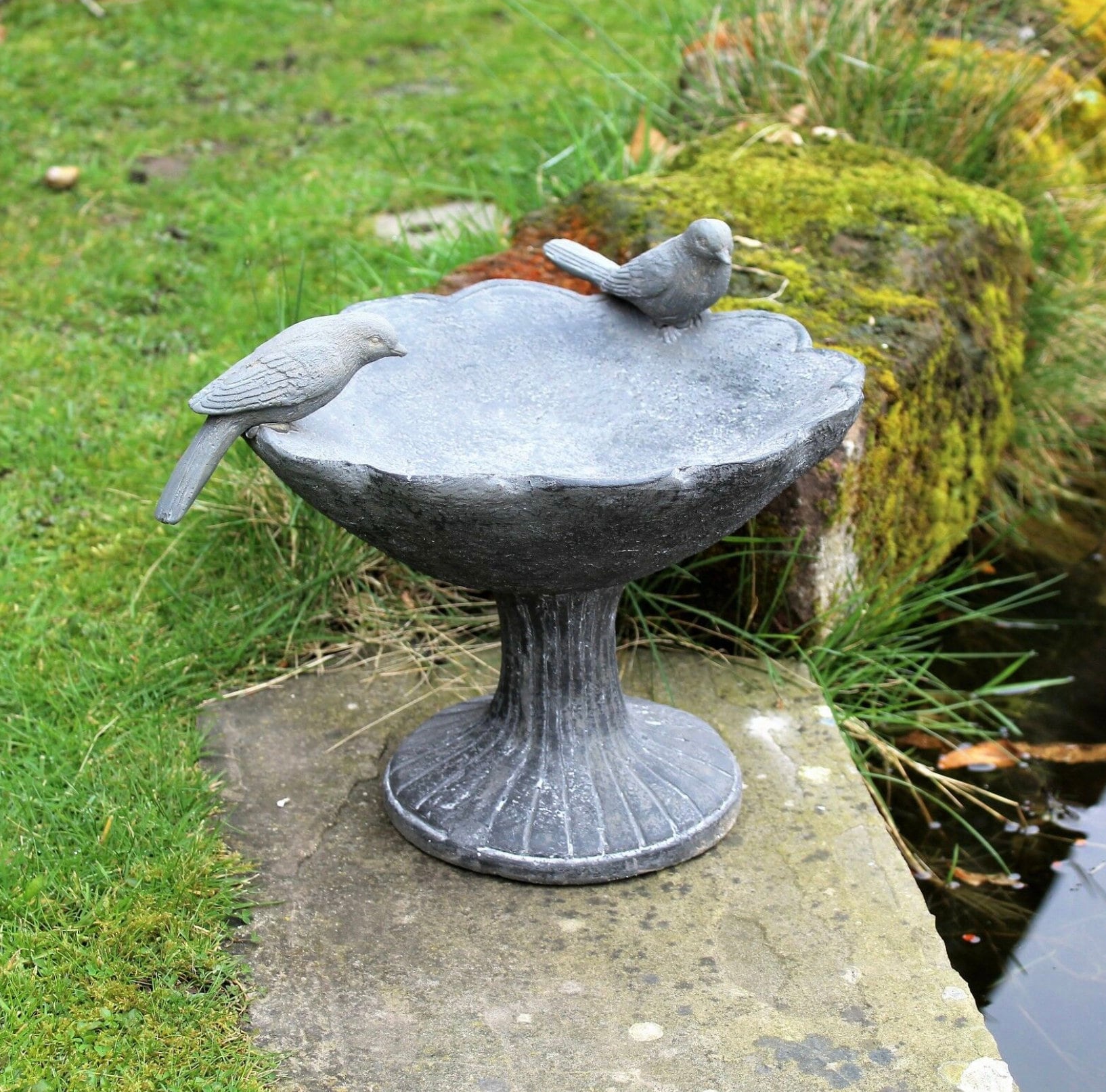 Bird Bath Bowl Outdoor Ornamental Traditional Garden Etsy