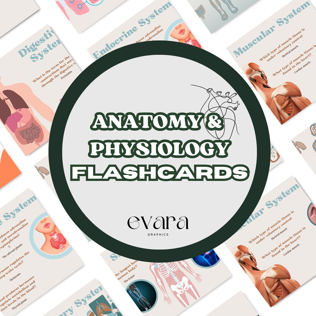 ANATOMY AND PHYSIOLOGY PRACTICE TEST NURSING visual data 4