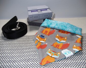 Empate en Pet Bandana