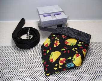 Empate en Pet Bandana