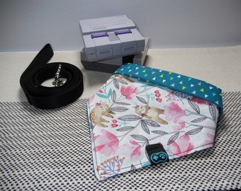 Empate en Pet Bandana