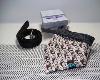 Empate en Pet Bandana