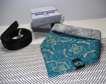 Empate en Pet Bandana