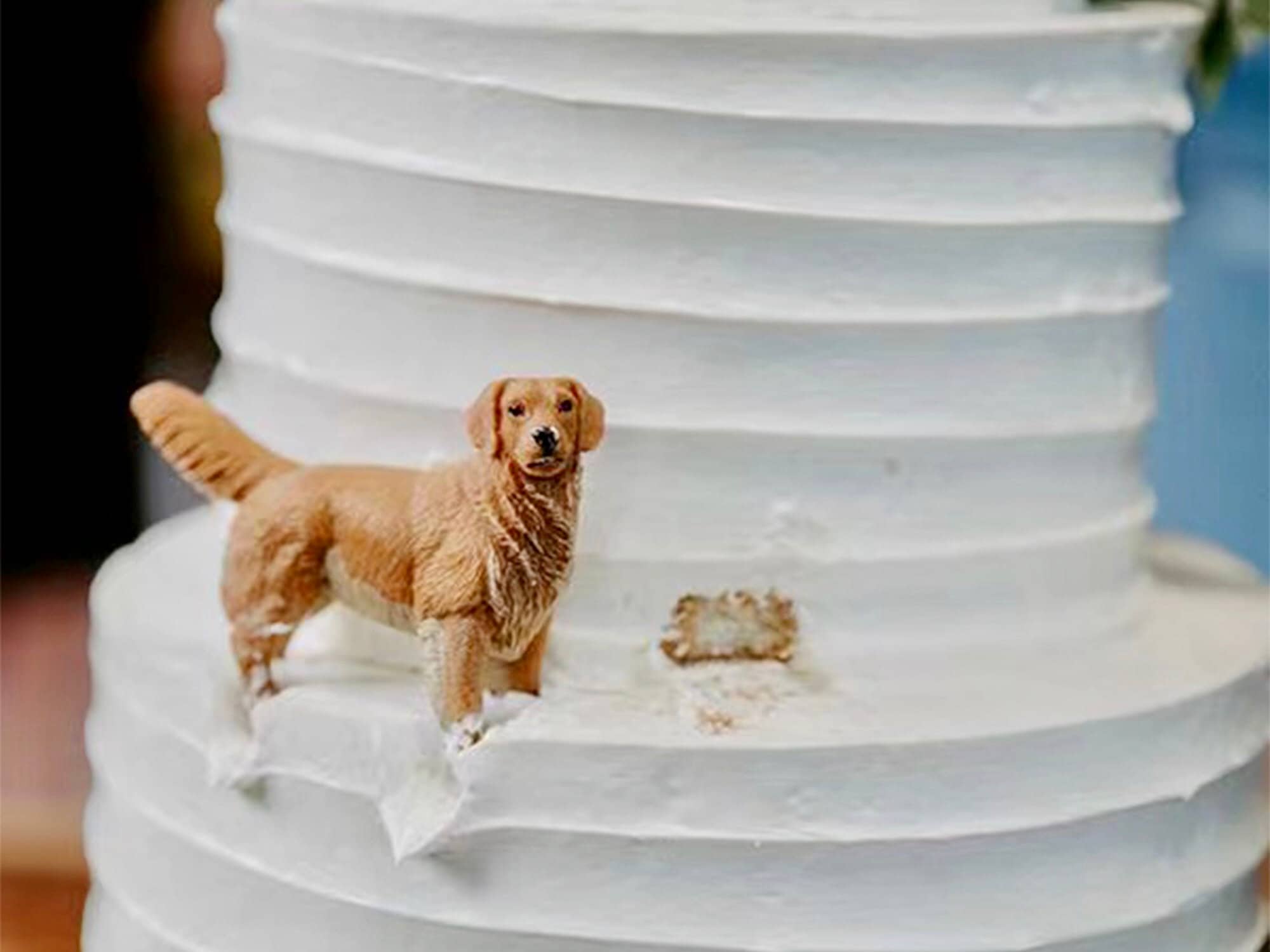 Dog Cake Topper - Etsy Dog Cake Topper - Etsy