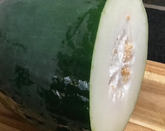 Fantastic winter melon seeds (大冬瓜子）10 seeds each