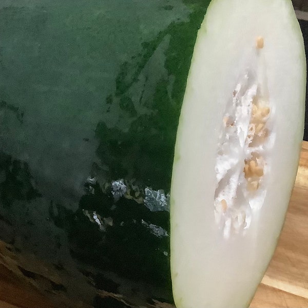 Fantastic winter melon seeds (大冬瓜子）10 seeds each