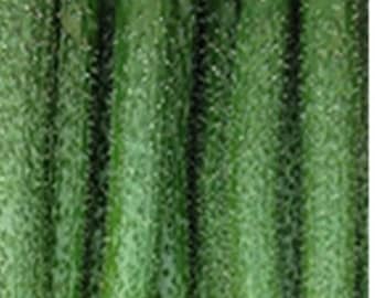 Chinese long cucumber seeds (中国长黄瓜种子） 10 seeds each