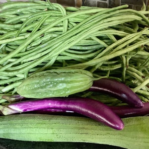 Long beans seeds (asparagus bean seeds, yard-long bean, Chinese long beans, 长豇豆） 15 seeds each