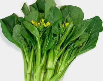 Edible Rape Cải Ngọt Asian Vegetable Green Yu Choy seeds -1 OZ=13000 seeds Edible Rape Cải Ngọt Asian Vegetable Green Yu Choy seeds -1 OZ=13000 seeds