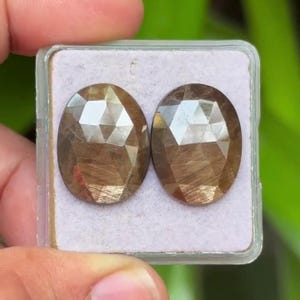 Op de afbeelding: Twee ovaalvormige, gefacetteerde edelstenen met een warme bruine kleur worden gepresenteerd in een doorzichtige plastic doos. De edelstenen hebben een gepolijst, reflecterend oppervlak en staan ​​tegen een lichtpaarse achtergrond.