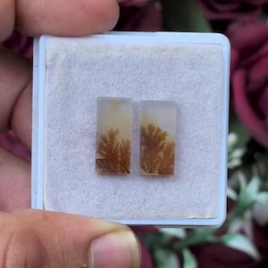May include: Two rectangular, polished gemstones with a dendritic pattern resembling tree branches. The stones are set in a white, square container. The colors are a mix of cream, tan, and brown, creating a natural, earthy aesthetic.