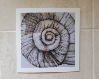Green Turban Sea Shell Greeting Card | Art Greeting Card | Pen Drawing | Seaside Cards