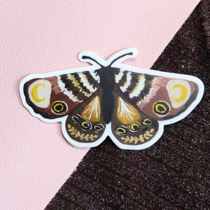 Moth Butterfly Vinyl Sticker