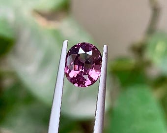 Espinela lavanda: 1,59 ct, talla ovalada, Afganistán