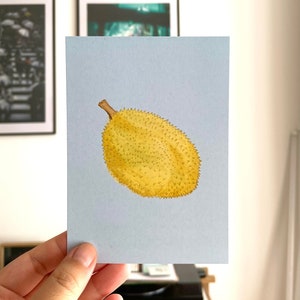 Carte Durian | Carte postale asiatique | Carte postale asiatique | Fruits vietnamiens fruits fruits vietnamiens fruits puants Fruits puants Sau Rieng