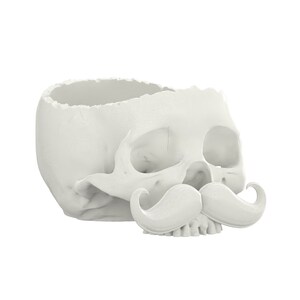 Könnte beinhalten: Ein weißer, schädelartiger Pflanztopf mit einem großen, geschwungenen Schnurrbart. Die Oberseite des Schädels ist offen und bietet Platz für Pflanzen oder andere dekorative Gegenstände. Ein einzigartiges Dekorationsstück.