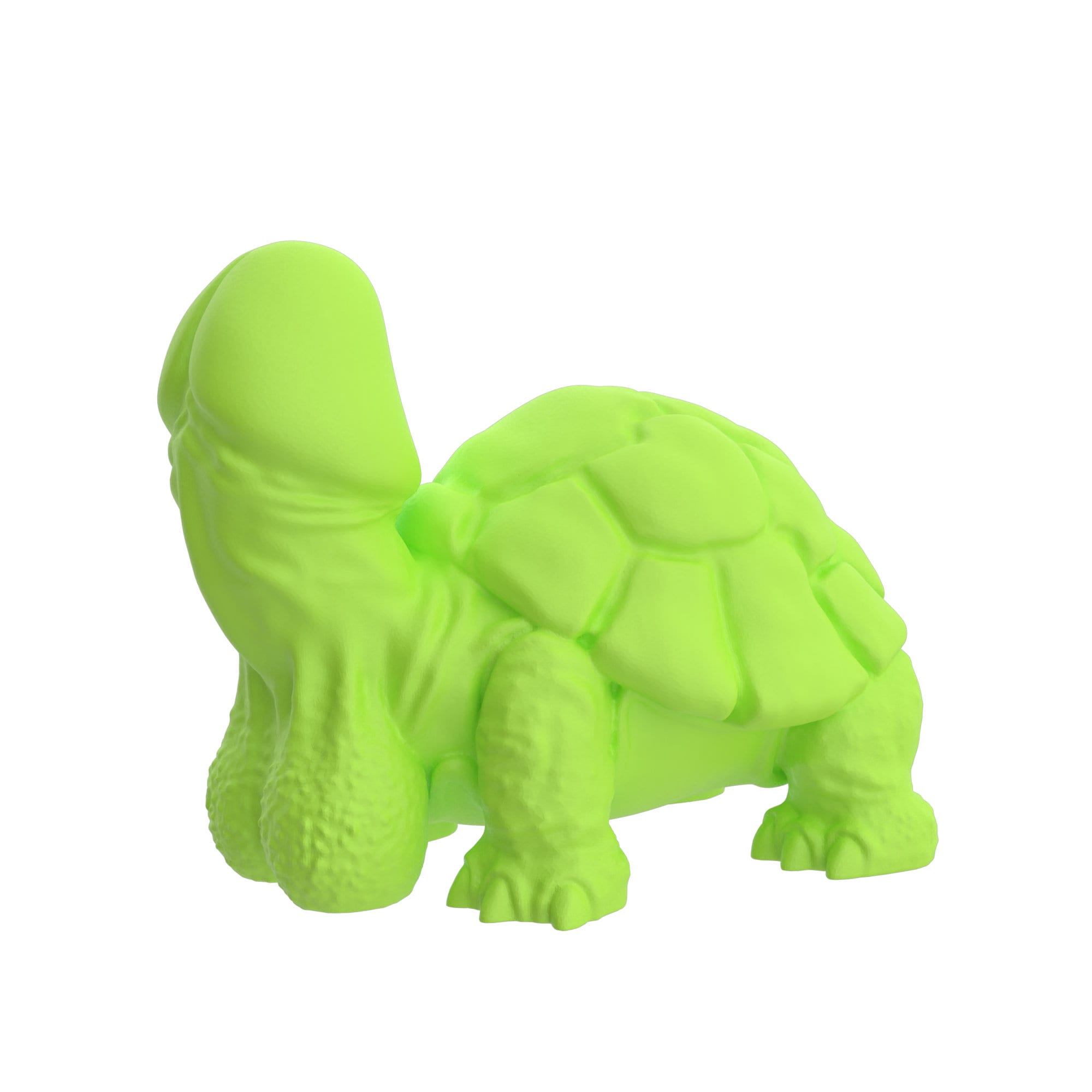 Dicky turtle best sale