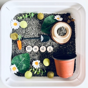 Garden Sensory Kit