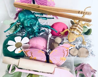 Frog, Bugs, Lizards and Butterflies Sensory Kit, Frog Sensory Kit, Kids Busy Box, Kids Gifts, Gift for Kids, Play Dough Kit, Play Doh Kit